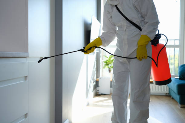 Best Kitchen Mold Remediation in Cardington, OH
